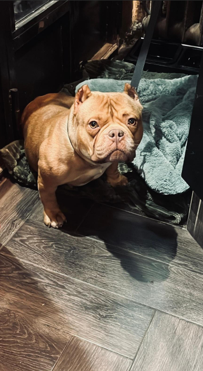 capture d'écran 2025 09 23 204500